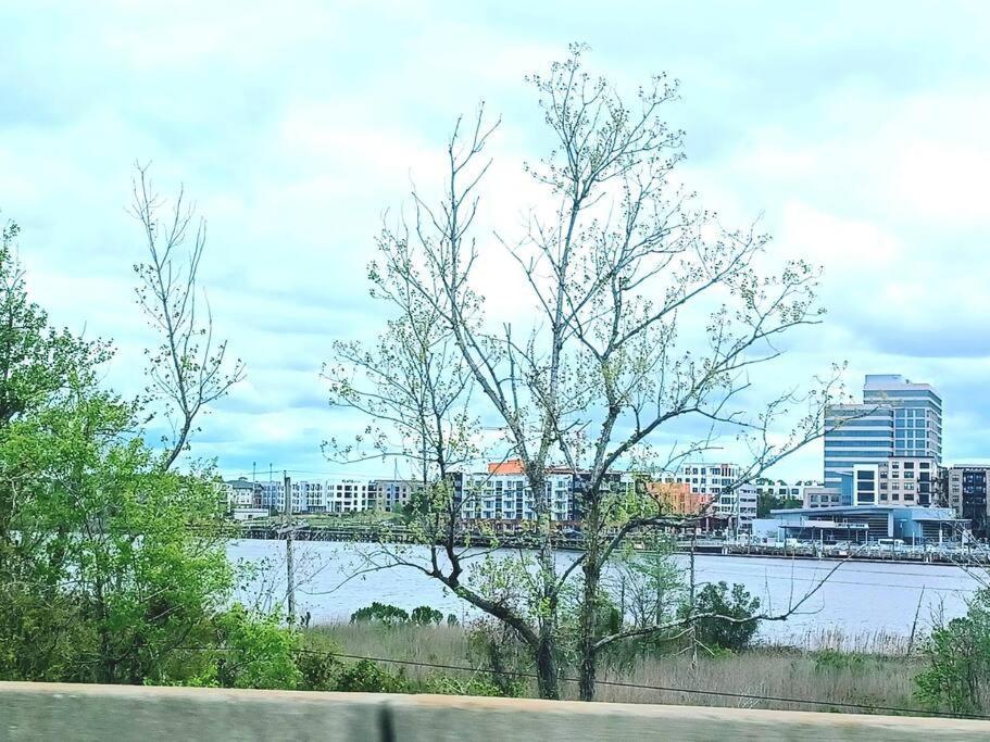 Historic District Water Viewprivate Parking 3 Cars Apartment Wilmington Exterior photo